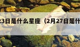 2月23日是什么星座（2月27日是什么星座）