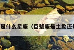 六月份是什么星座（巨蟹座是土象还是水象）