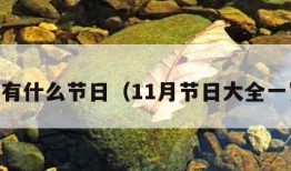 11月有什么节日（11月节日大全一览表）