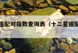 十二星座配对指数查询表（十二星座配对指数是多少）