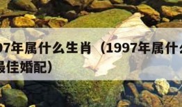 1997年属什么生肖（1997年属什么生肖最佳婚配）