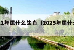 2011年属什么生肖（2025年属什么生肖）