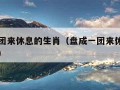 盘成一团来休息的生肖（盘成一团来休息的生肖图片）