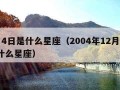 2月4日是什么星座（2004年12月4日是什么星座）