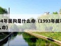 1994年属狗是什么命（1993年属鸡是什么命）