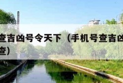 手机号查吉凶号令天下（手机号查吉凶号令天下怎么查）