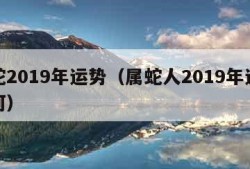 属蛇2019年运势（属蛇人2019年运势如何）