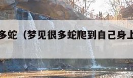 梦见很多蛇（梦见很多蛇爬到自己身上预示着什么）