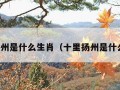 十里扬州是什么生肖（十里扬州是什么意思）