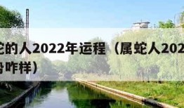 属蛇的人2022年运程（属蛇人2022年运势咋样）