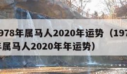 1978年属马人2020年运势（1978年属马人2020年年运势）