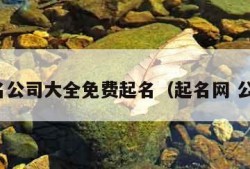 起名公司大全免费起名（起名网 公司）