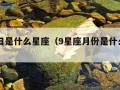 9月8日是什么星座（9星座月份是什么星座）