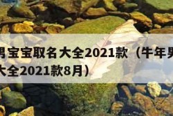 牛年男宝宝取名大全2021款（牛年男宝宝取名大全2021款8月）