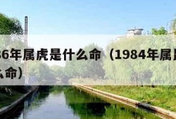 1986年属虎是什么命（1984年属鼠是什么命）