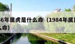 1986年属虎是什么命（1984年属鼠是什么命）