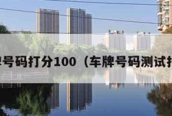 车牌号码打分100（车牌号码测试打分）