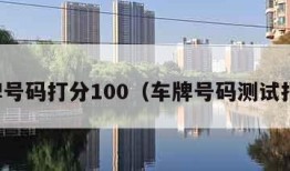 车牌号码打分100（车牌号码测试打分）