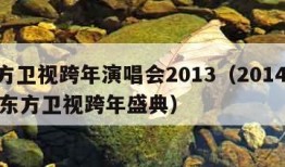 东方卫视跨年演唱会2013（20141231东方卫视跨年盛典）