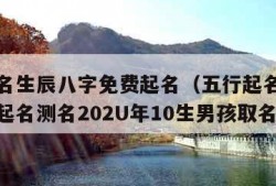 五行起名生辰八字免费起名（五行起名生辰八字免费起名测名202U年10生男孩取名）