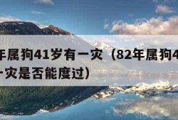 82年属狗41岁有一灾（82年属狗41岁有一灾是否能度过）