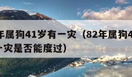 82年属狗41岁有一灾（82年属狗41岁有一灾是否能度过）