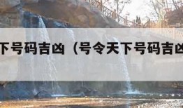 号令天下号码吉凶（号令天下号码吉凶查询免费）