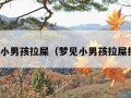 梦见小男孩拉屎（梦见小男孩拉屎拉尿）