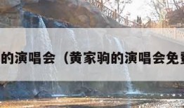 黄家驹的演唱会（黄家驹的演唱会免费观看）