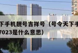 号令天下手机靓号吉祥号（号令天下手机靓号吉祥号7023是什么意思）