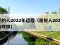 属蛇的人2022年运程（属蛇人2022年运势咋样）