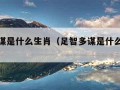 足智多谋是什么生肖（足智多谋是什么生肖或数字）