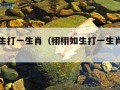 栩栩如生打一生肖（栩栩如生打一生肖打一动物）