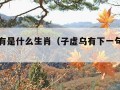 子虚乌有是什么生肖（子虚乌有下一句是什么）