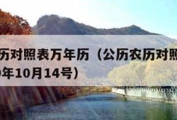 公历农历对照表万年历（公历农历对照表万年历2009年10月14号）