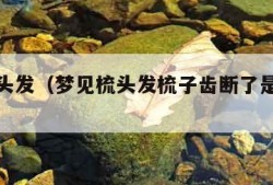 梦见梳头发（梦见梳头发梳子齿断了是什么意思）