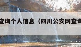 公安网查询个人信息（四川公安网查询个人信息）