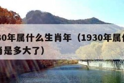 1930年属什么生肖年（1930年属什么生肖是多大了）