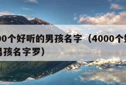 4000个好听的男孩名字（4000个好听的男孩名字罗）