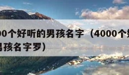 4000个好听的男孩名字（4000个好听的男孩名字罗）