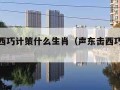 声东击西巧计策什么生肖（声东击西巧计策打一肖）