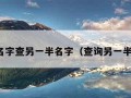 输入名字查另一半名字（查询另一半姓氏）