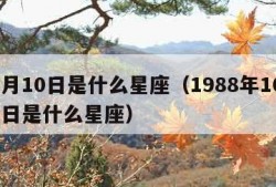 10月10日是什么星座（1988年10月10日是什么星座）