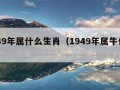 1949年属什么生肖（1949年属牛什么命）