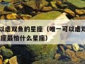 唯一可以虐双鱼的星座（唯一可以虐双鱼的星座 双鱼座最怕什么星座）