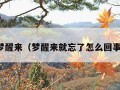 梦醒来（梦醒来就忘了怎么回事）