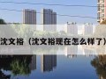 沈文裕（沈文裕现在怎么样了）