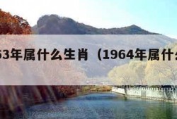 1963年属什么生肖（1964年属什么生肖）