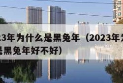 2023年为什么是黑兔年（2023年为什么是黑兔年好不好）