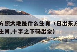 日出东方照大地是什么生肖（日出东方照大地是什么生肖,十字之下码出全）